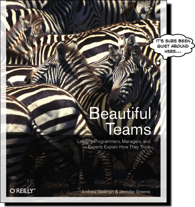 Beautiful Teams cover